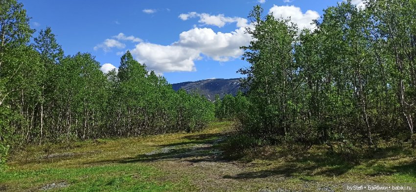 Выловили солнечный денёк 19.06.2021. Заполярье. Прогулка. Часть 2