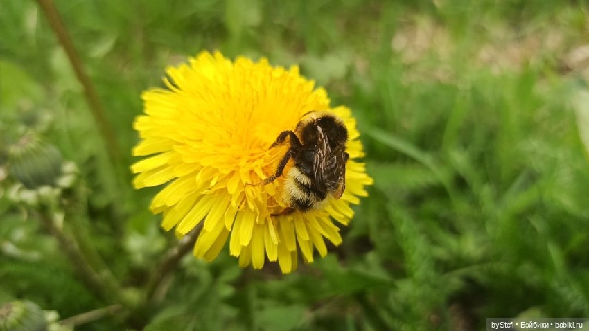 Выловили солнечный денёк)) 19.06.2021. Заполярье. Прогулка. Часть 4