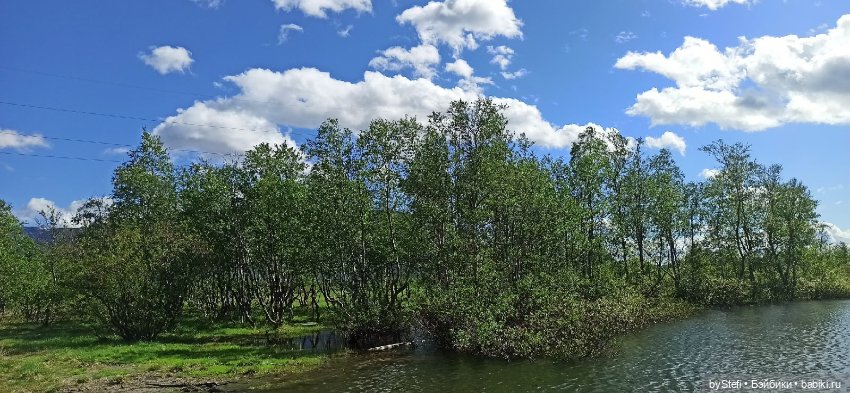 Выловили солнечный денёк 19.06.2021. Заполярье. Прогулка. Часть 1