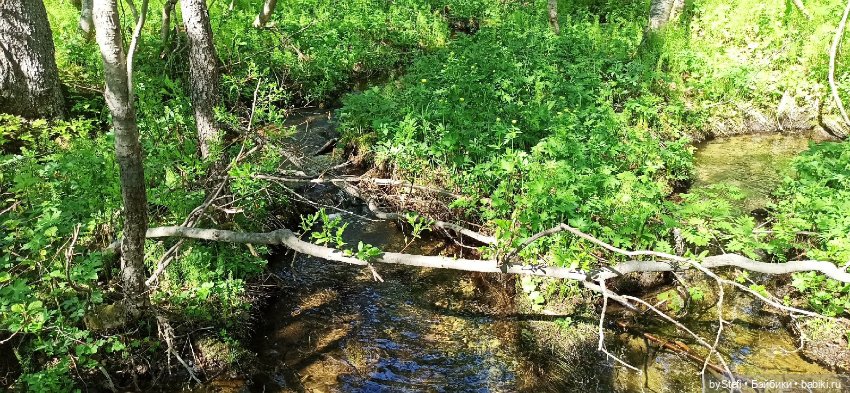 Выловили солнечный денёк 19.06.2021. Заполярье. Прогулка. Часть 2