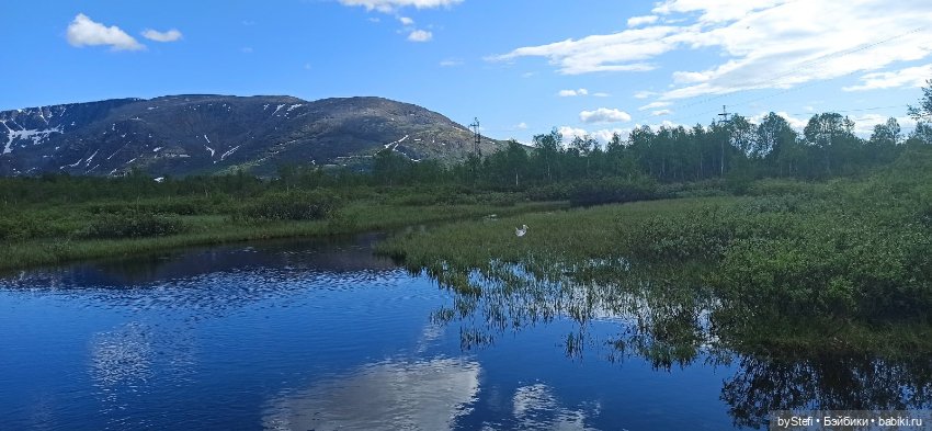 Выловили солнечный денёк)) 19.06.2021. Заполярье. Прогулка. Часть 4 (фото 4)