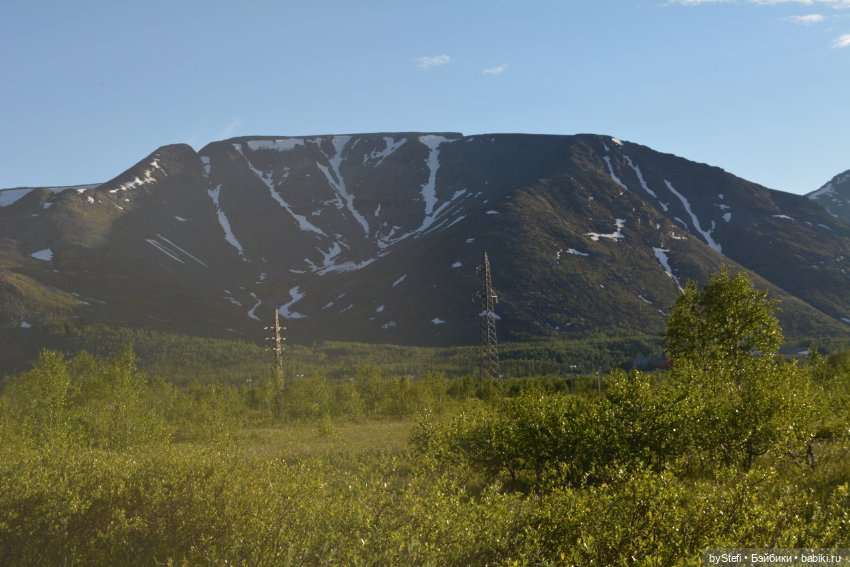 Выловили солнечный денёк 19.06.2021. Заполярье. Прогулка. Часть 5