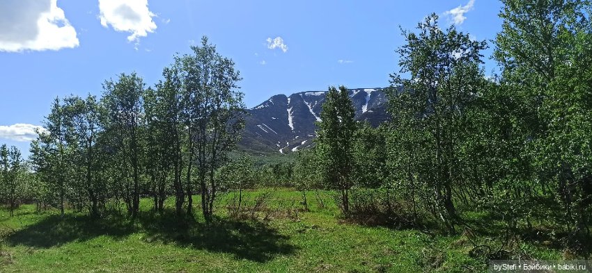 Выловили солнечный денёк 19.06.2021. Заполярье. Прогулка. Часть 2 (фото 2)