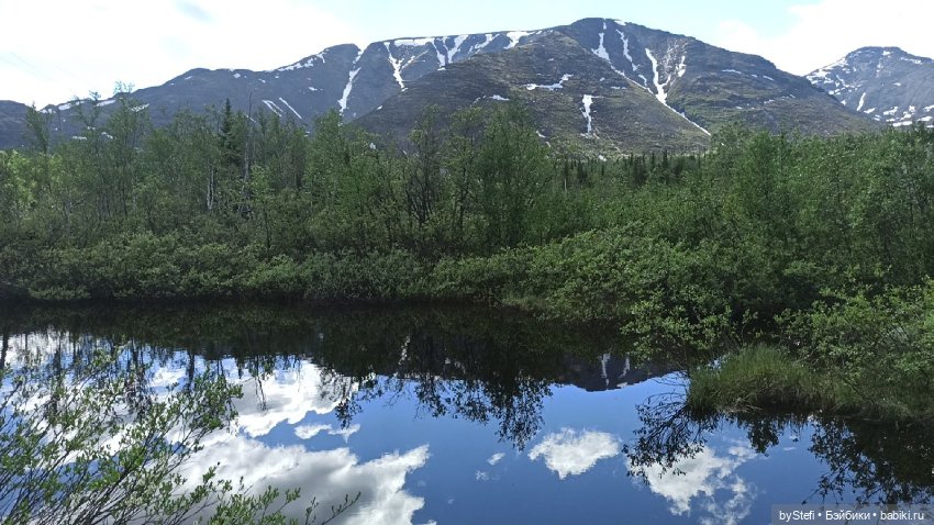 Выловили солнечный денёк 19.06.2021. Заполярье. Прогулка. Часть 3