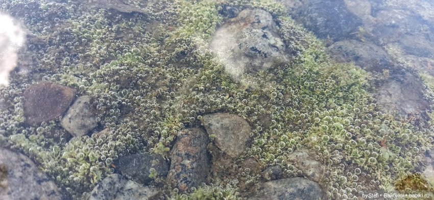 Выловили солнечный денёк 19.06.2021. Заполярье. Прогулка. Часть 3