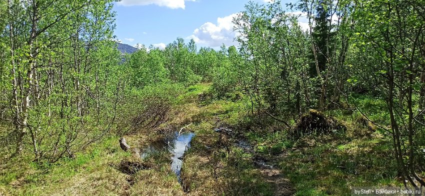 Выловили солнечный денёк 19.06.2021. Заполярье. Прогулка. Часть 2