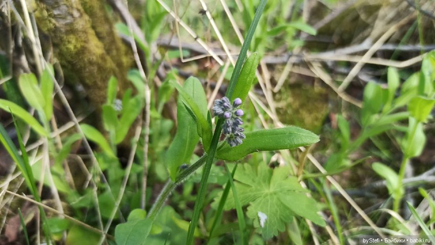 Выловили солнечный денёк 19.06.2021. Заполярье. Прогулка. Часть 2
