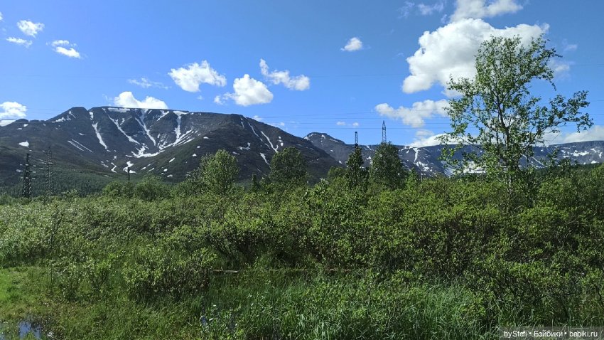Выловили солнечный денёк 19.06.2021. Заполярье. Прогулка. Часть 1 (фото 10)