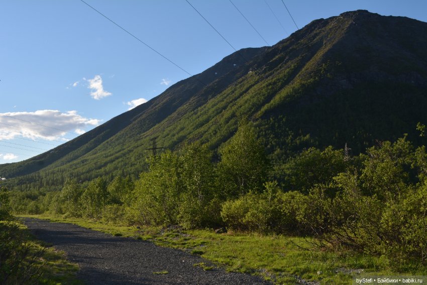 Выловили солнечный денёк 19.06.2021. Заполярье. Прогулка. Часть 5