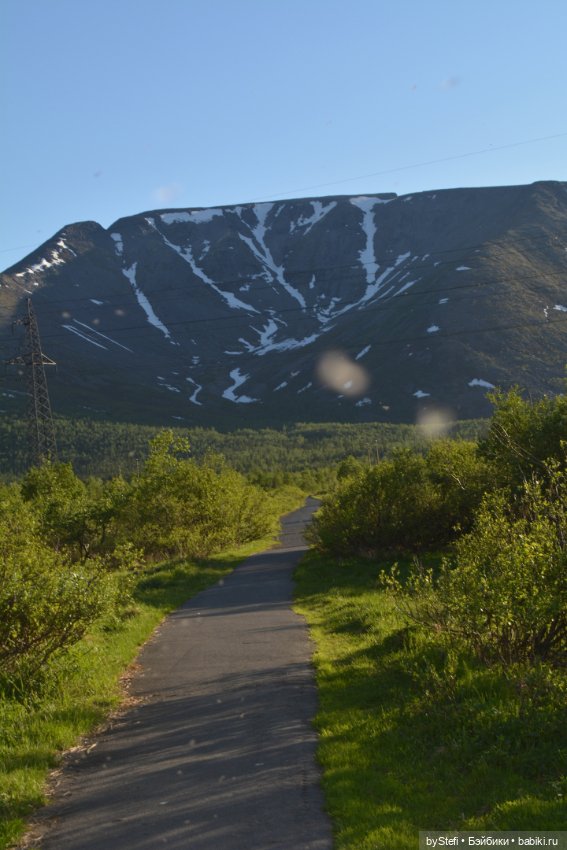 Выловили солнечный денёк 19.06.2021. Заполярье. Прогулка. Часть 5