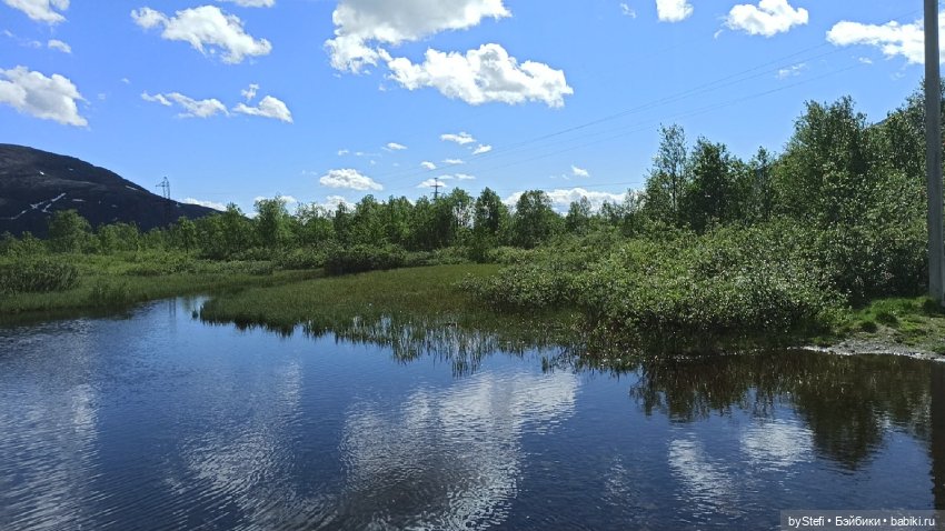 Выловили солнечный денёк 19.06.2021. Заполярье. Прогулка. Часть 1