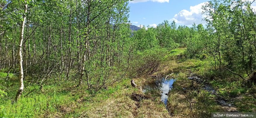 Выловили солнечный денёк 19.06.2021. Заполярье. Прогулка. Часть 2