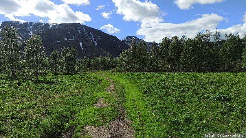 Выловили солнечный денёк 19.06.2021. Заполярье. Прогулка. Часть 3
