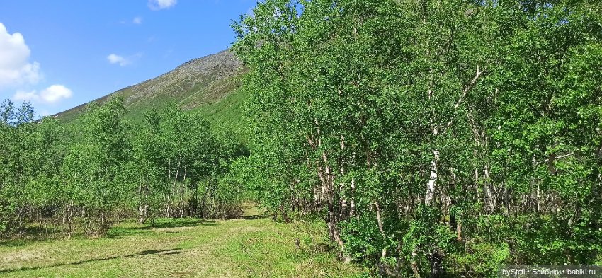 Выловили солнечный денёк 19.06.2021. Заполярье. Прогулка. Часть 1