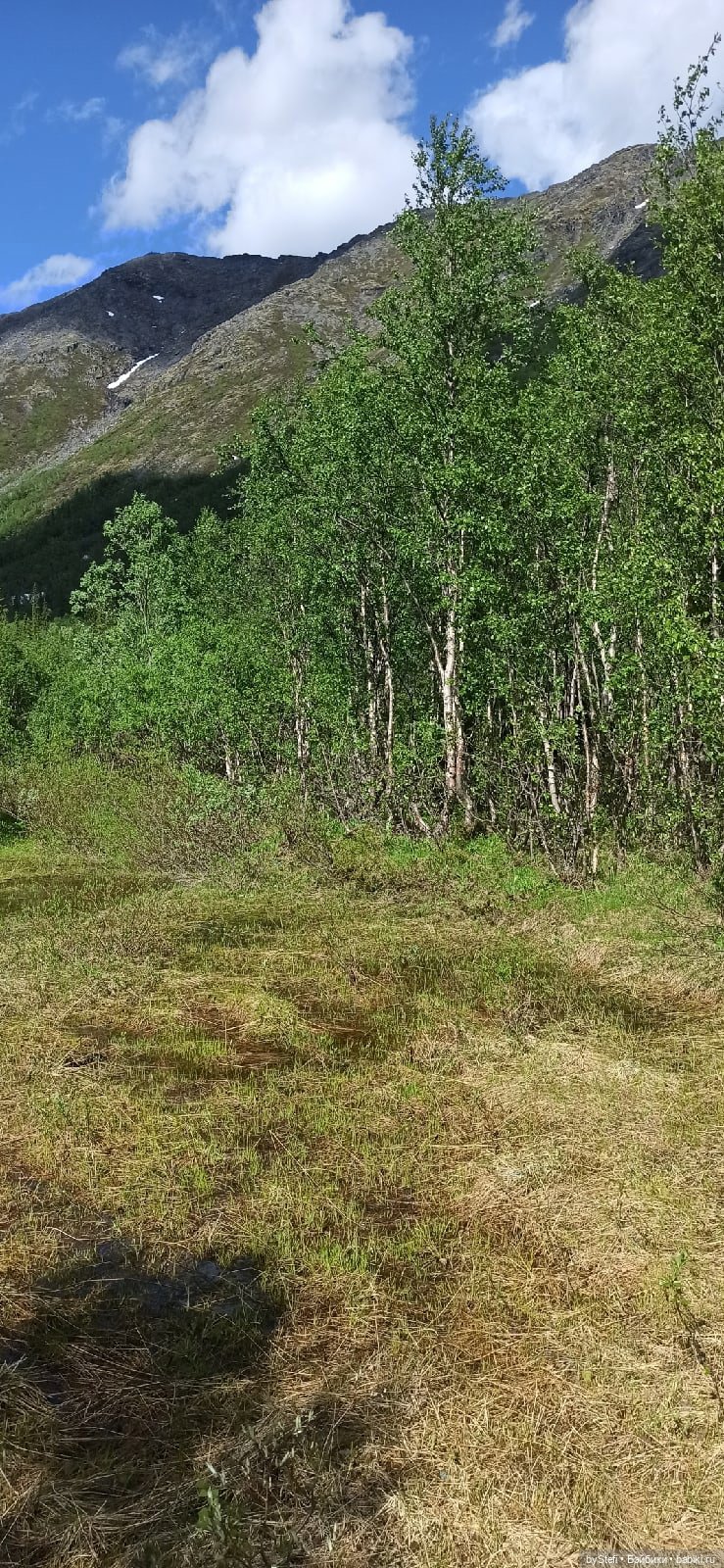 Выловили солнечный денёк 19.06.2021. Заполярье. Прогулка. Часть 2 (фото 8)