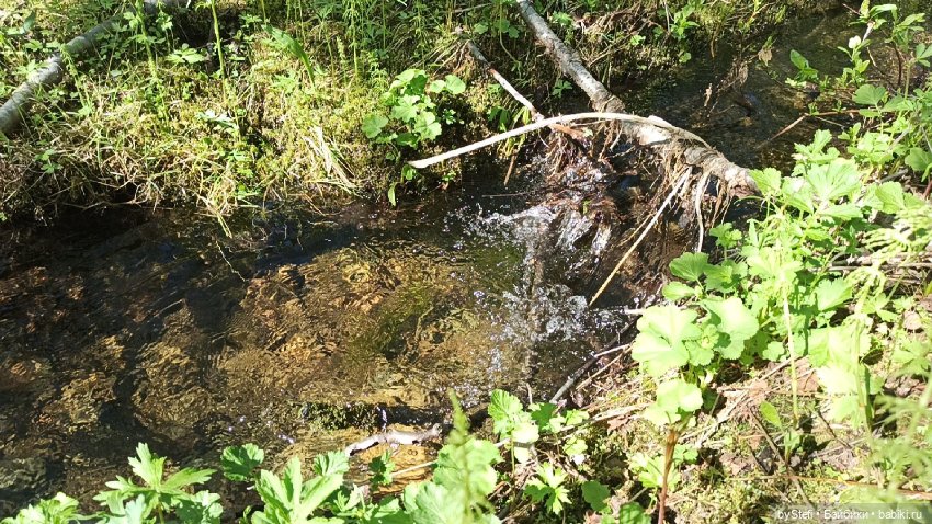 Выловили солнечный денёк 19.06.2021. Заполярье. Прогулка. Часть 2