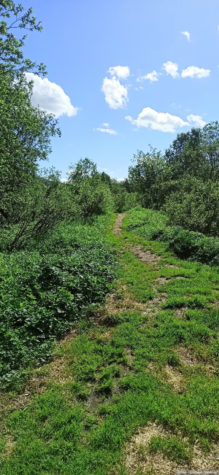 Выловили солнечный денёк 19.06.2021. Заполярье. Прогулка. Часть 1 (фото 5)