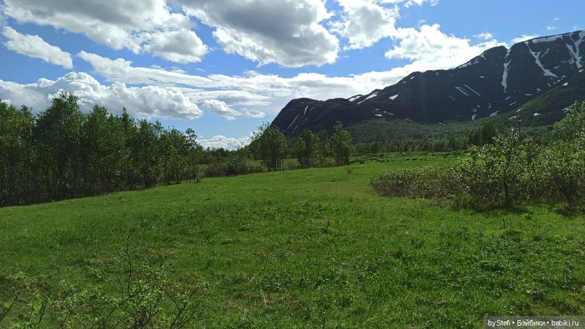 Выловили солнечный денёк 19.06.2021. Заполярье. Прогулка. Часть 2