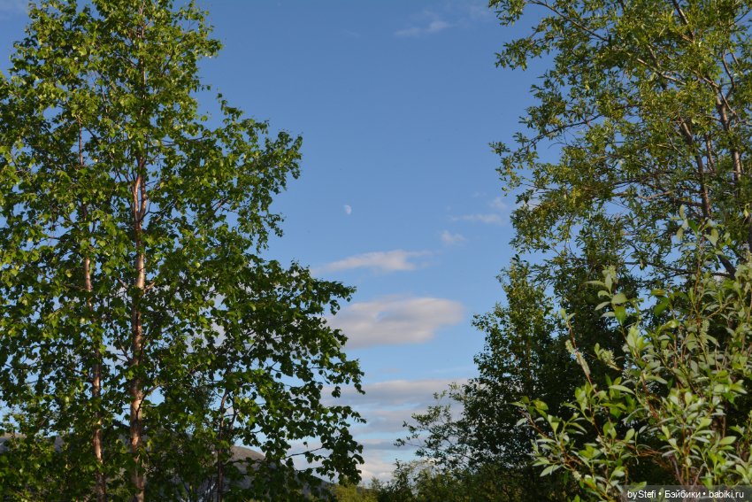 Выловили солнечный денёк 19.06.2021. Заполярье. Прогулка. Часть 5