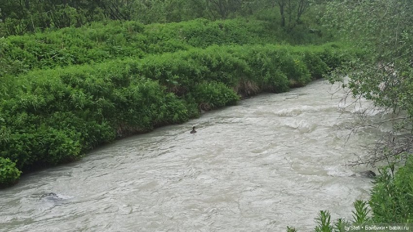 Выловили солнечный денёк)) 19.06.2021. Заполярье. Прогулка. Часть 4