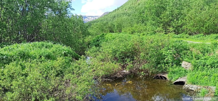 Выловили солнечный денёк 19.06.2021. Заполярье. Прогулка. Часть 1 (фото 3)