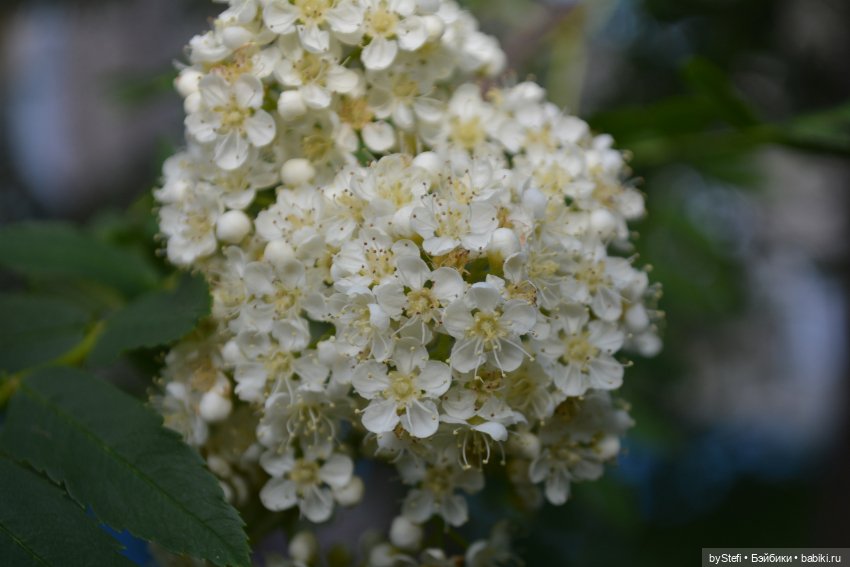 Выловили солнечный денёк 19.06.2021. Заполярье. Прогулка. Часть 6. Заключительная