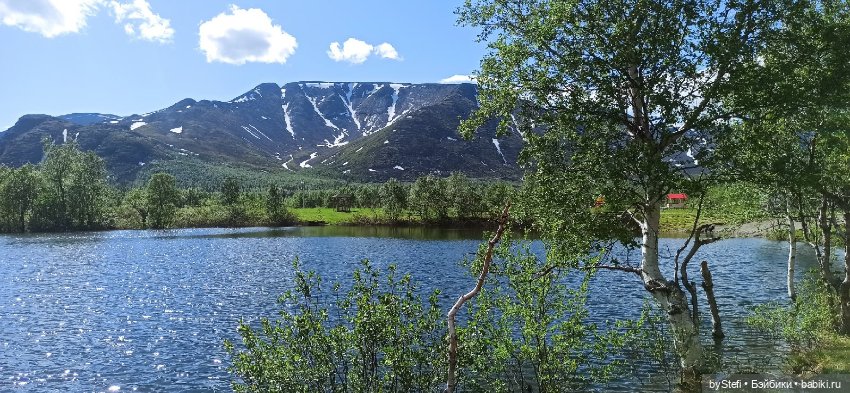Выловили солнечный денёк 19.06.2021. Заполярье. Прогулка. Часть 1