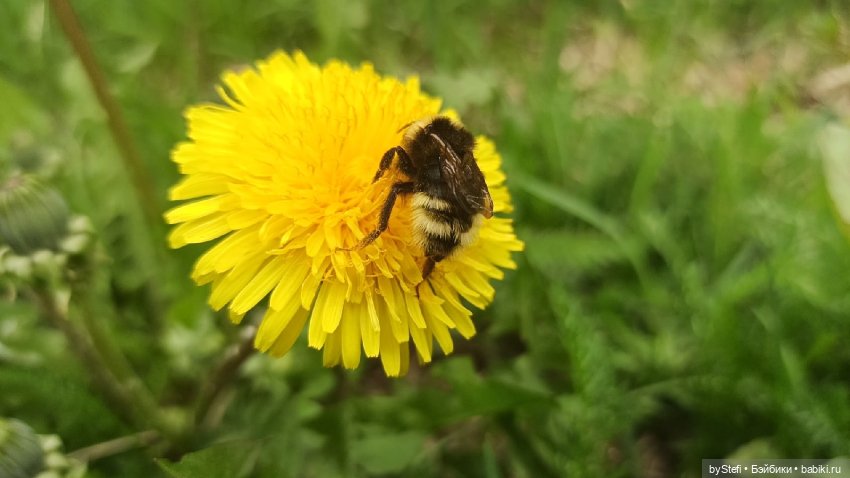 Выловили солнечный денёк)) 19.06.2021. Заполярье. Прогулка. Часть 4