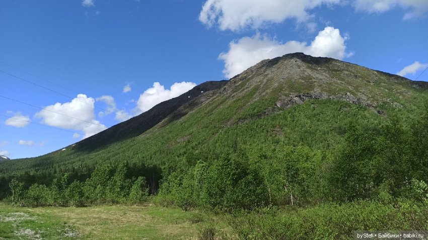 Выловили солнечный денёк 19.06.2021. Заполярье. Прогулка. Часть 1