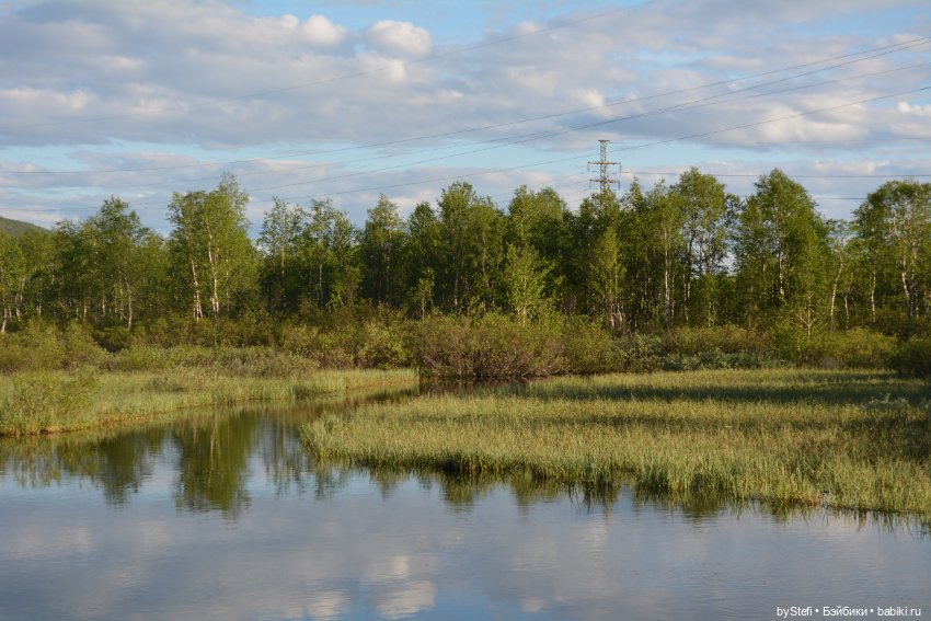 Выловили солнечный денёк 19.06.2021. Заполярье. Прогулка. Часть 5