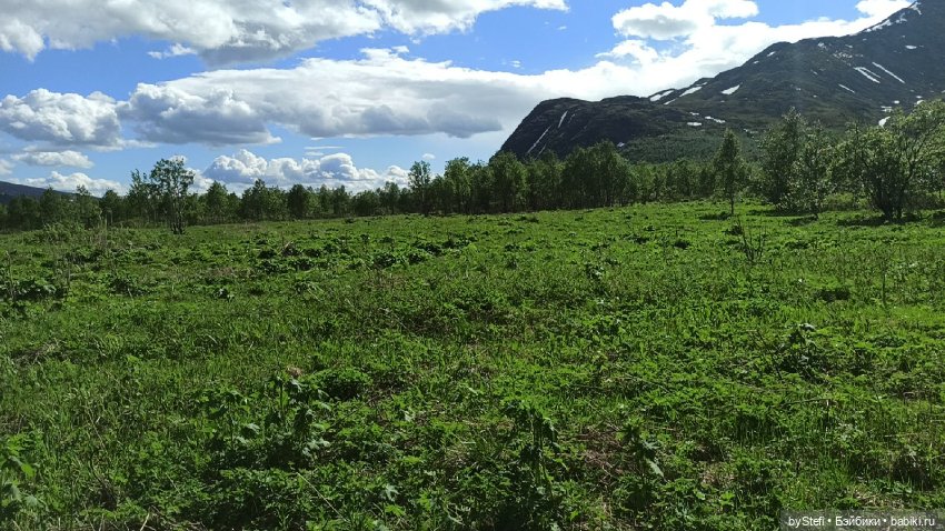 Выловили солнечный денёк 19.06.2021. Заполярье. Прогулка. Часть 3