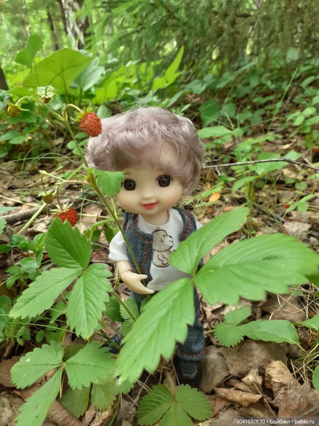 Баболи, новые фото — Куклы Baboliy (Баболи