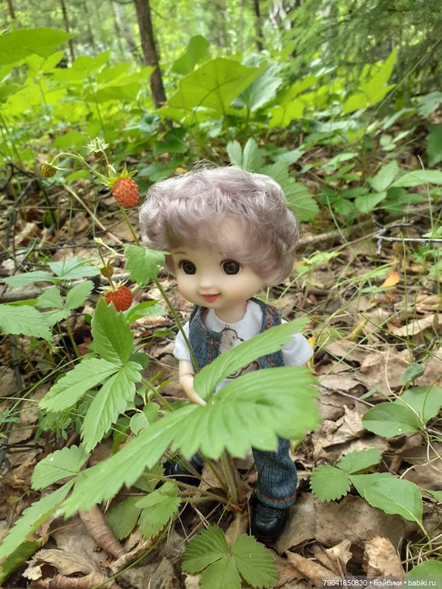 Баболи, новые фото — Куклы Baboliy (Баболи