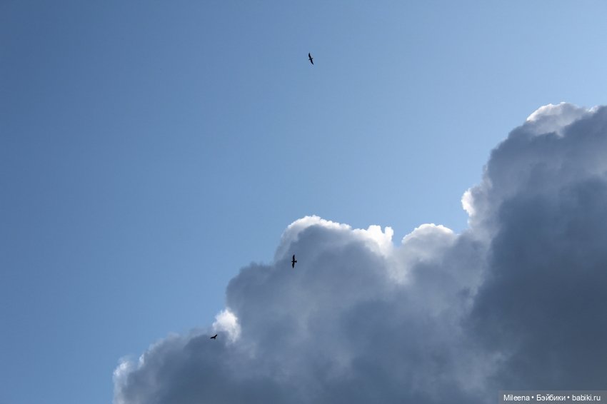 К прекрасному — Куклы Integrity Toys (Интегрити): Poppy Parker (фото 8)