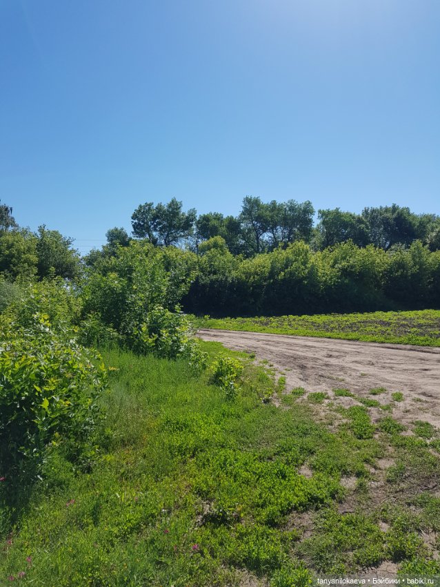 Праздник святой троицы — Туризм и путешествия: фотоотчеты из поездок