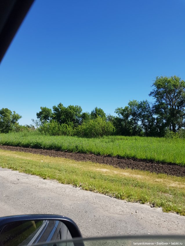 Праздник святой троицы — Туризм и путешествия: фотоотчеты из поездок (фото 2)