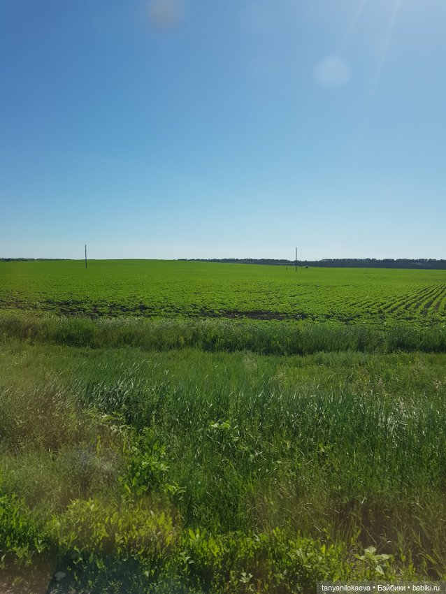 Праздник святой троицы — Туризм и путешествия: фотоотчеты из поездок