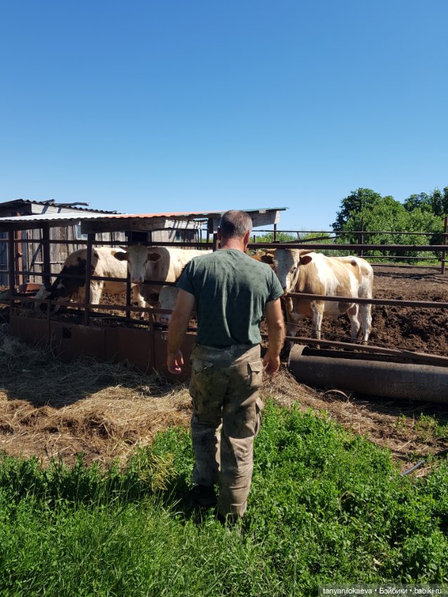 Праздник святой троицы — Туризм и путешествия: фотоотчеты из поездок