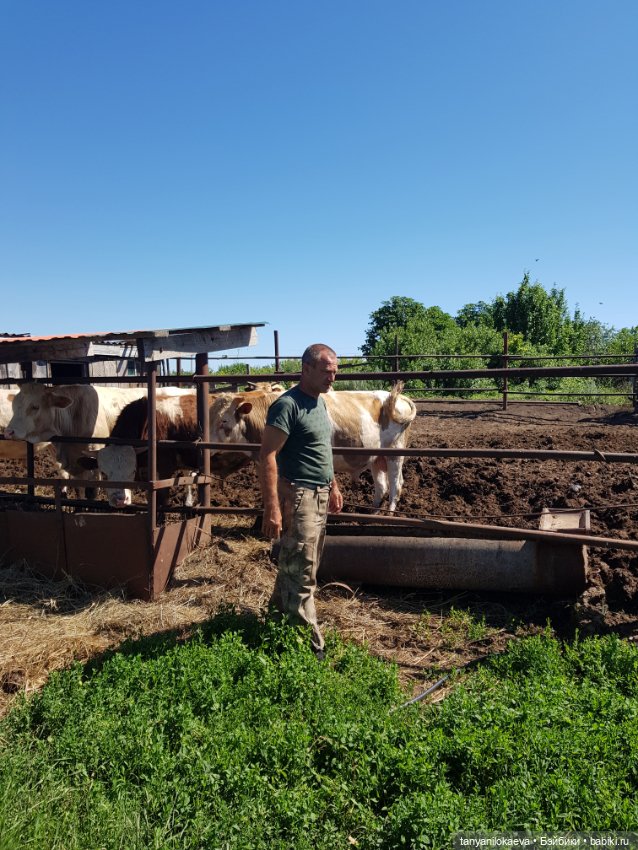 Праздник святой троицы — Туризм и путешествия: фотоотчеты из поездок