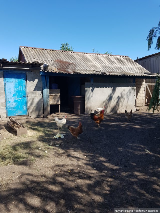 Праздник святой троицы — Туризм и путешествия: фотоотчеты из поездок (фото 10)