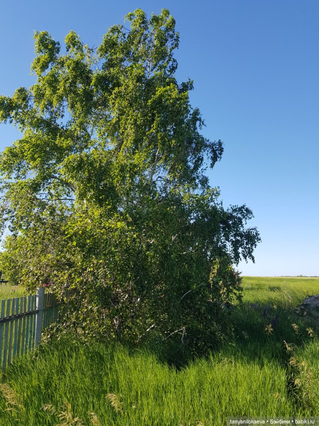 Праздник святой троицы — Туризм и путешествия: фотоотчеты из поездок