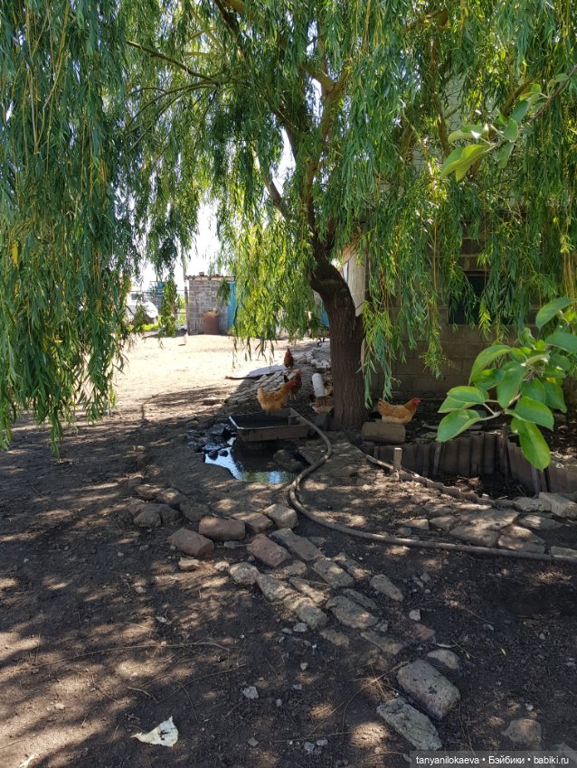 Праздник святой троицы — Туризм и путешествия: фотоотчеты из поездок