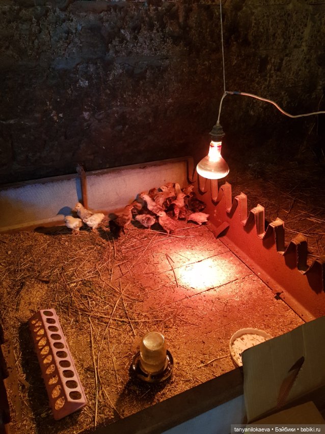 Праздник святой троицы — Туризм и путешествия: фотоотчеты из поездок