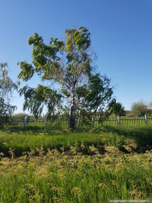 Путешествие в детство — Коллекционные куклы разных авторов (Разное): редкие бренды (фото 3)