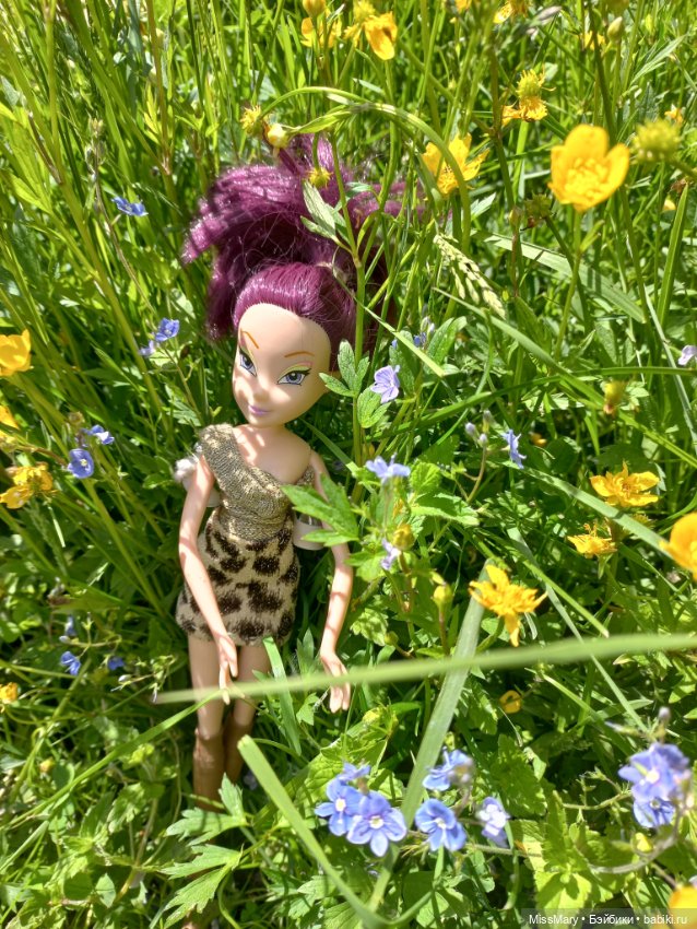 В кругу фей — Куклы Winx (Винкс) и W