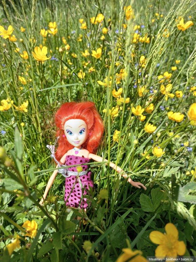 В кругу фей — Куклы Winx (Винкс) и W