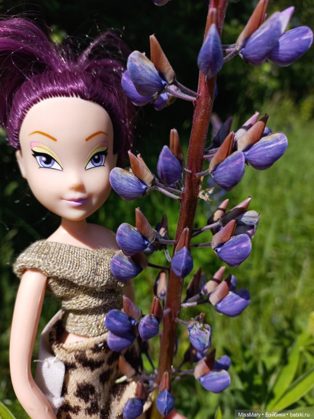 В кругу фей — Куклы Winx (Винкс) и W