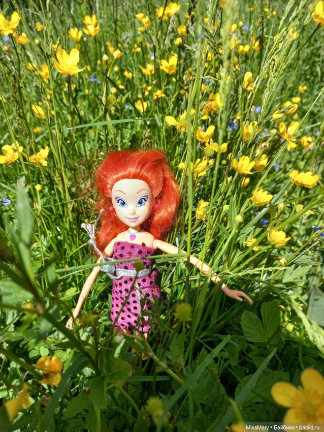 В кругу фей — Куклы Winx (Винкс) и W
