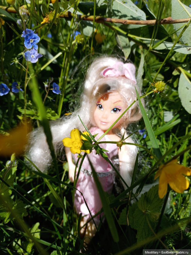 В кругу фей — Куклы Winx (Винкс) и W