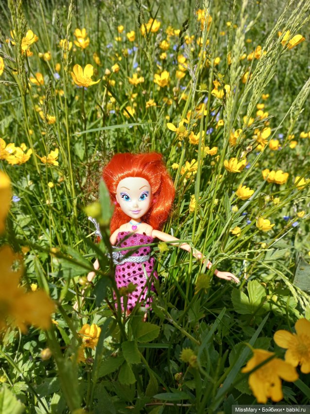 В кругу фей — Куклы Winx (Винкс) и W